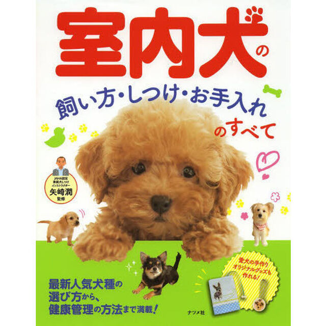 室内犬の飼い方・しつけ・お手入れのすべて