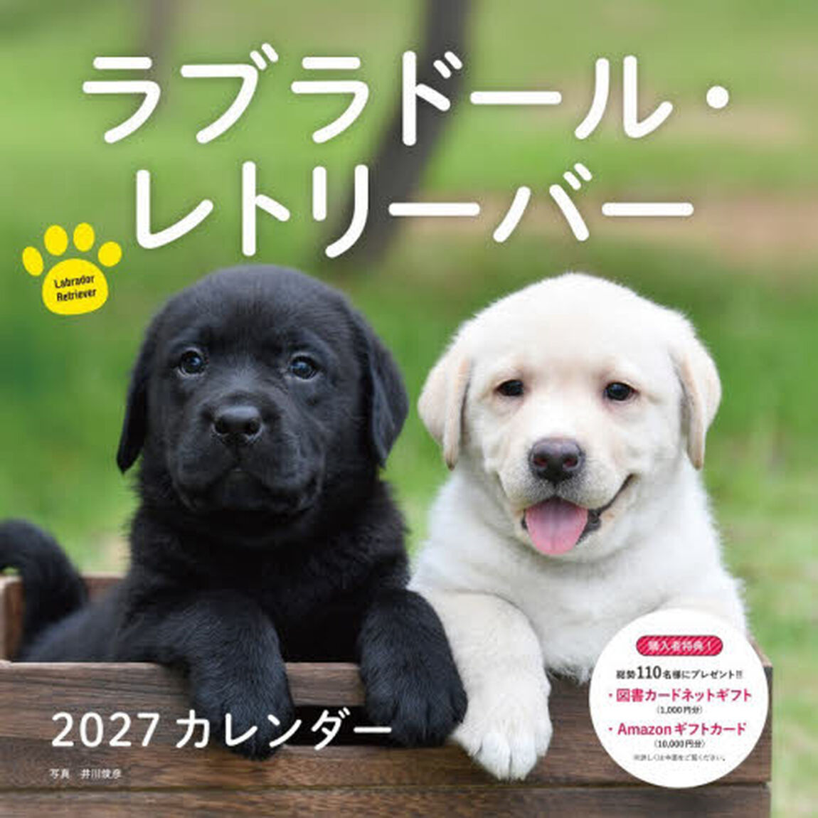 &rsquo;２７　カレンダーラブラドール・レトリー