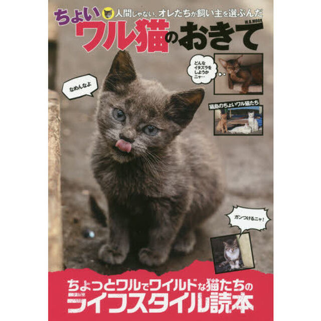 ちょいワル猫のおきて　ちょっとワルでワイルドな猫たちのライフスタイル読本