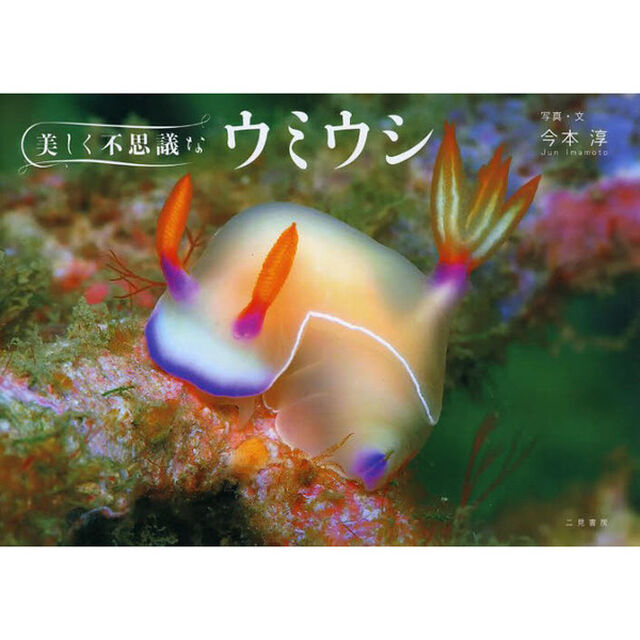 美しく不思議なウミウシ
