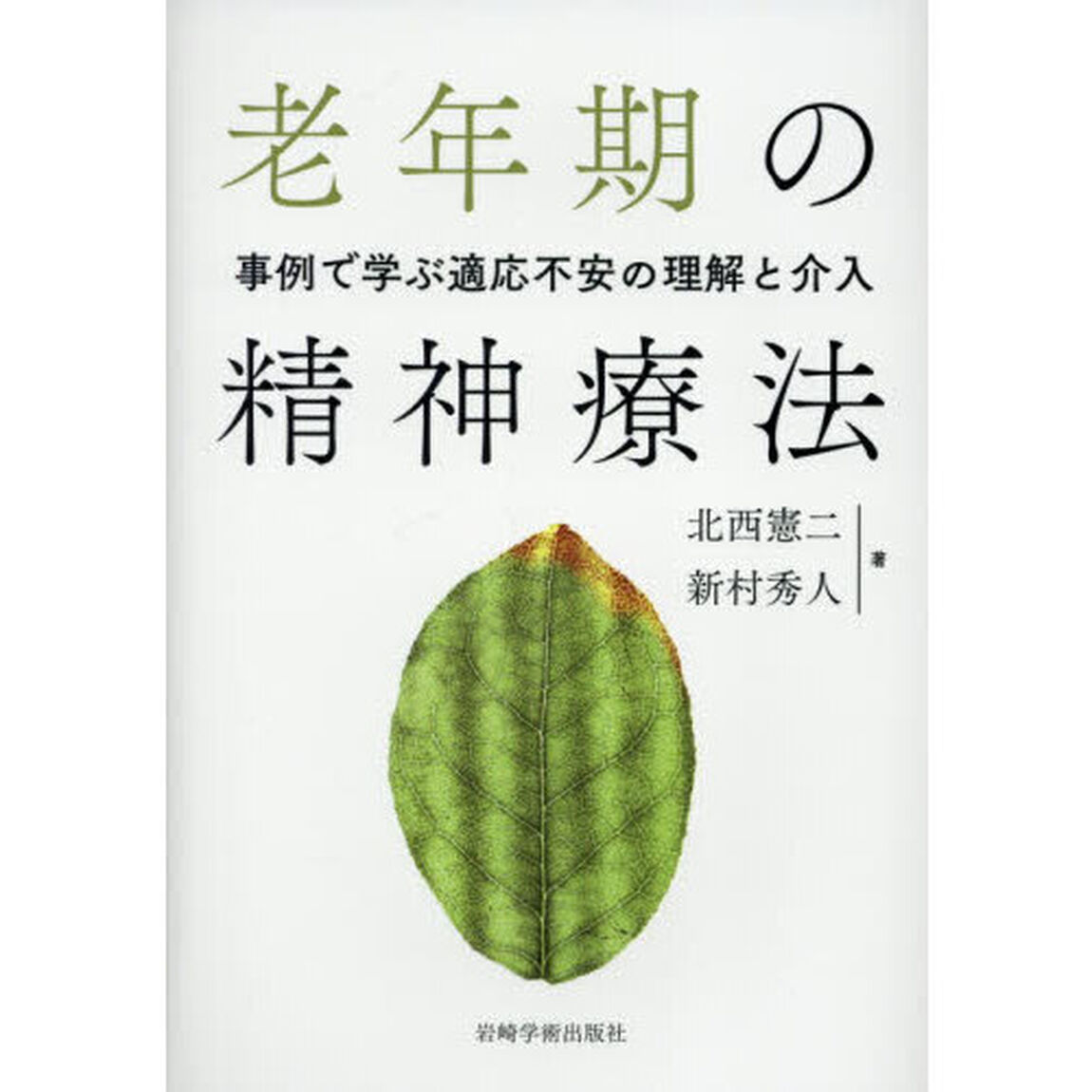老年期の精神療法　事例で学ぶ適応不安の理解と介入