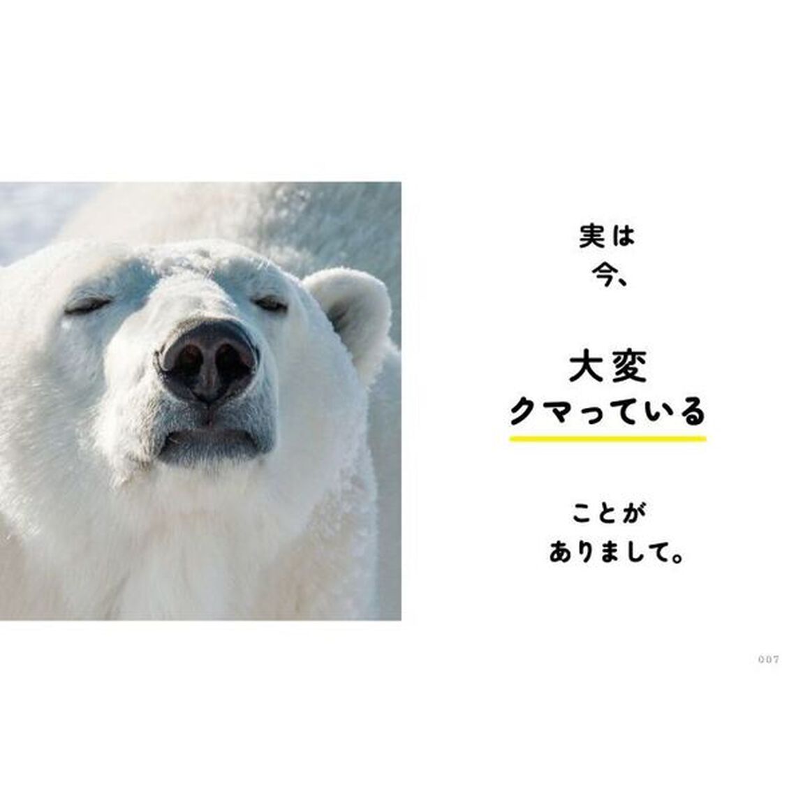 最近、地球が暑くてクマってます。　シロクマが教えてくれた温暖化時代を幸せに生き抜く方法