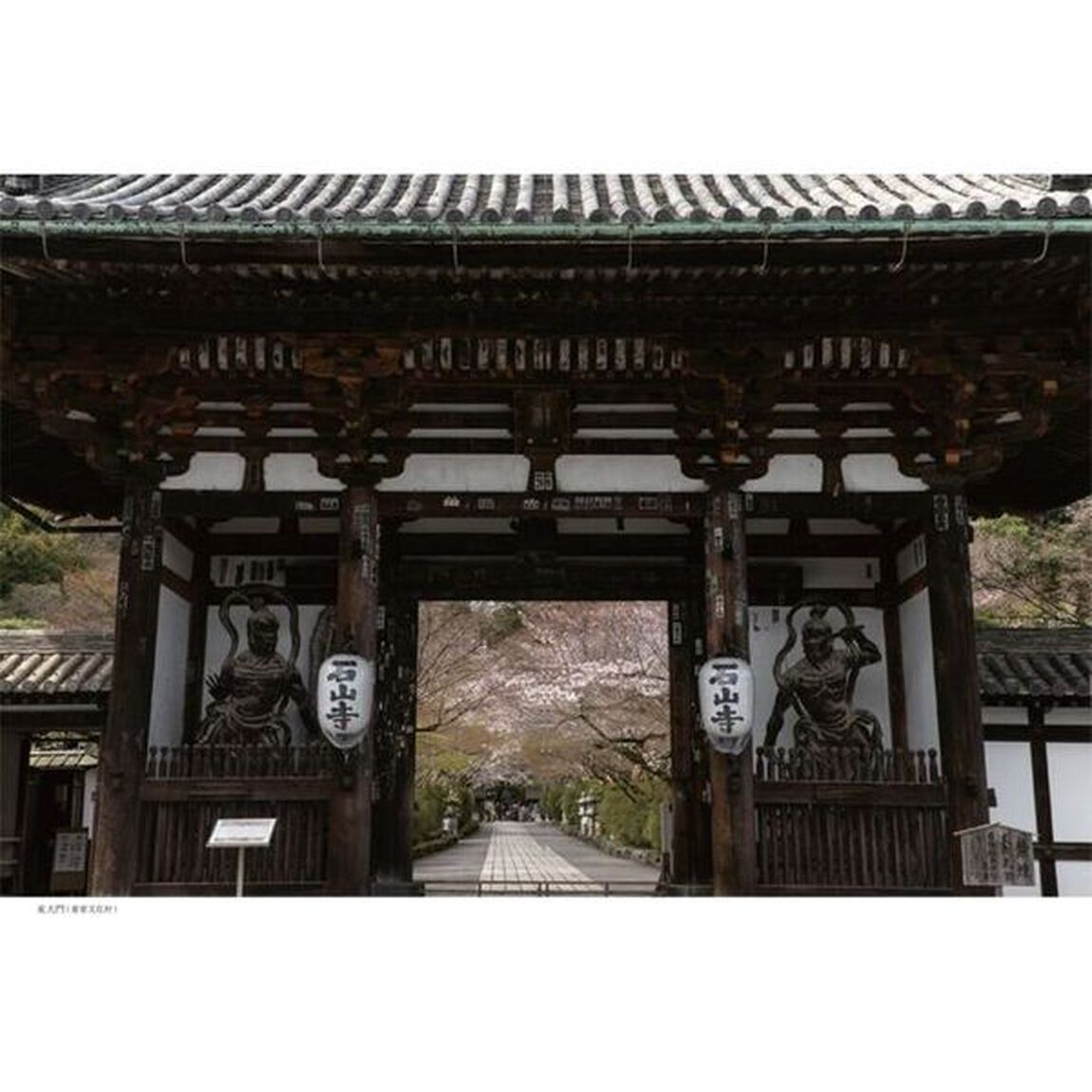 ほとけの誓い、おもき石山　紫式部ゆかりの寺にて