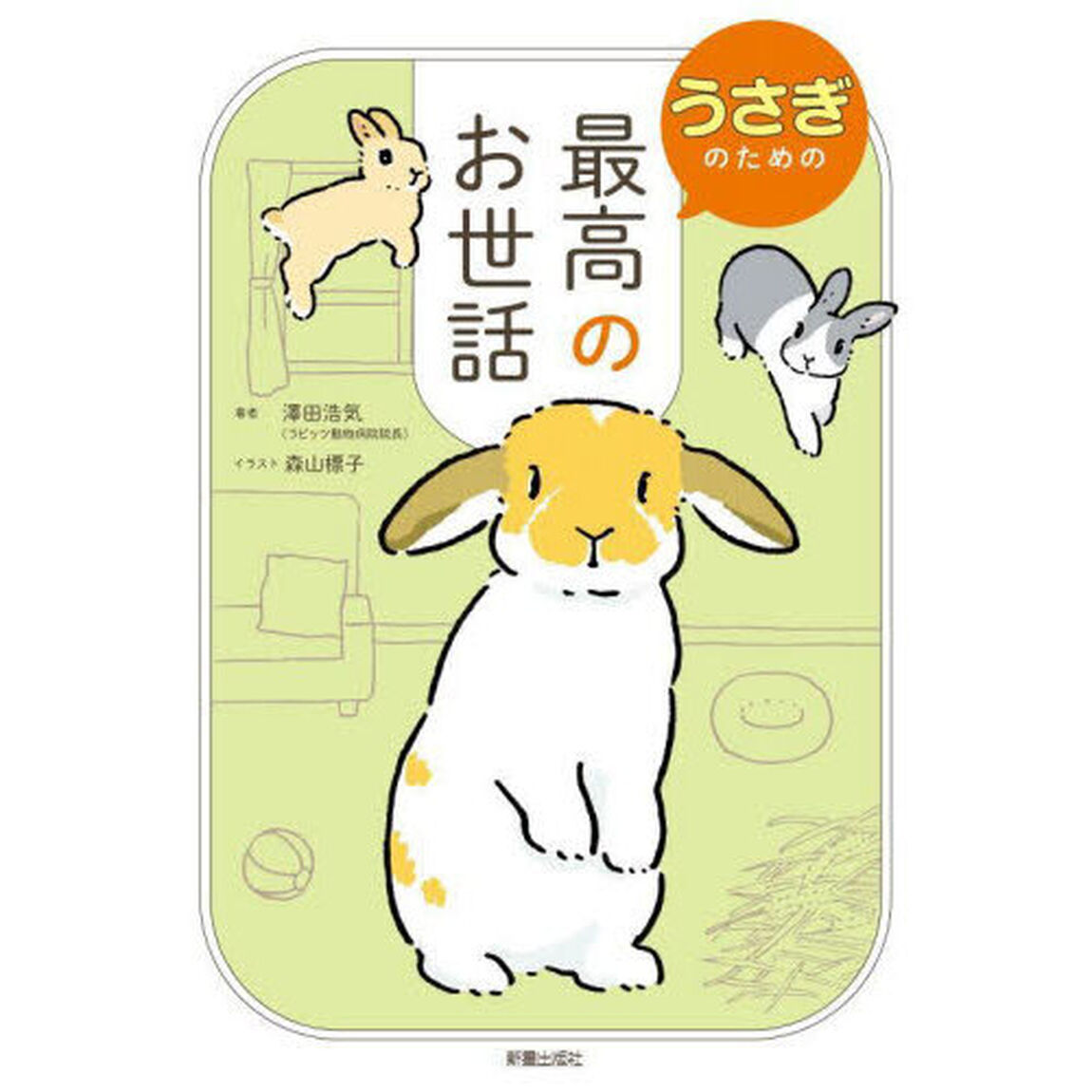 うさぎのための最高のお世話
