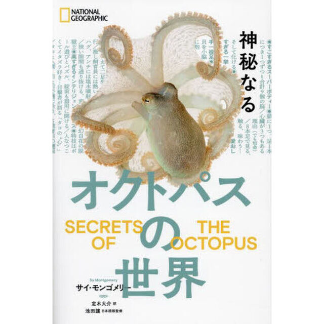 神秘なるオクトパスの世界