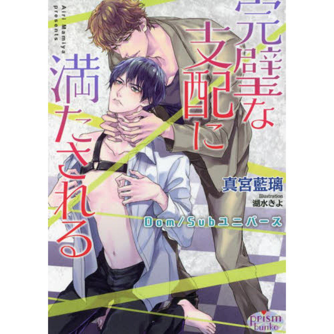 完璧な支配に満たされる　Ｄｏｍ／Ｓｕｂユニバース