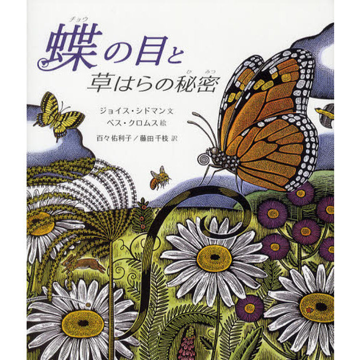 蝶の目と草はらの秘密