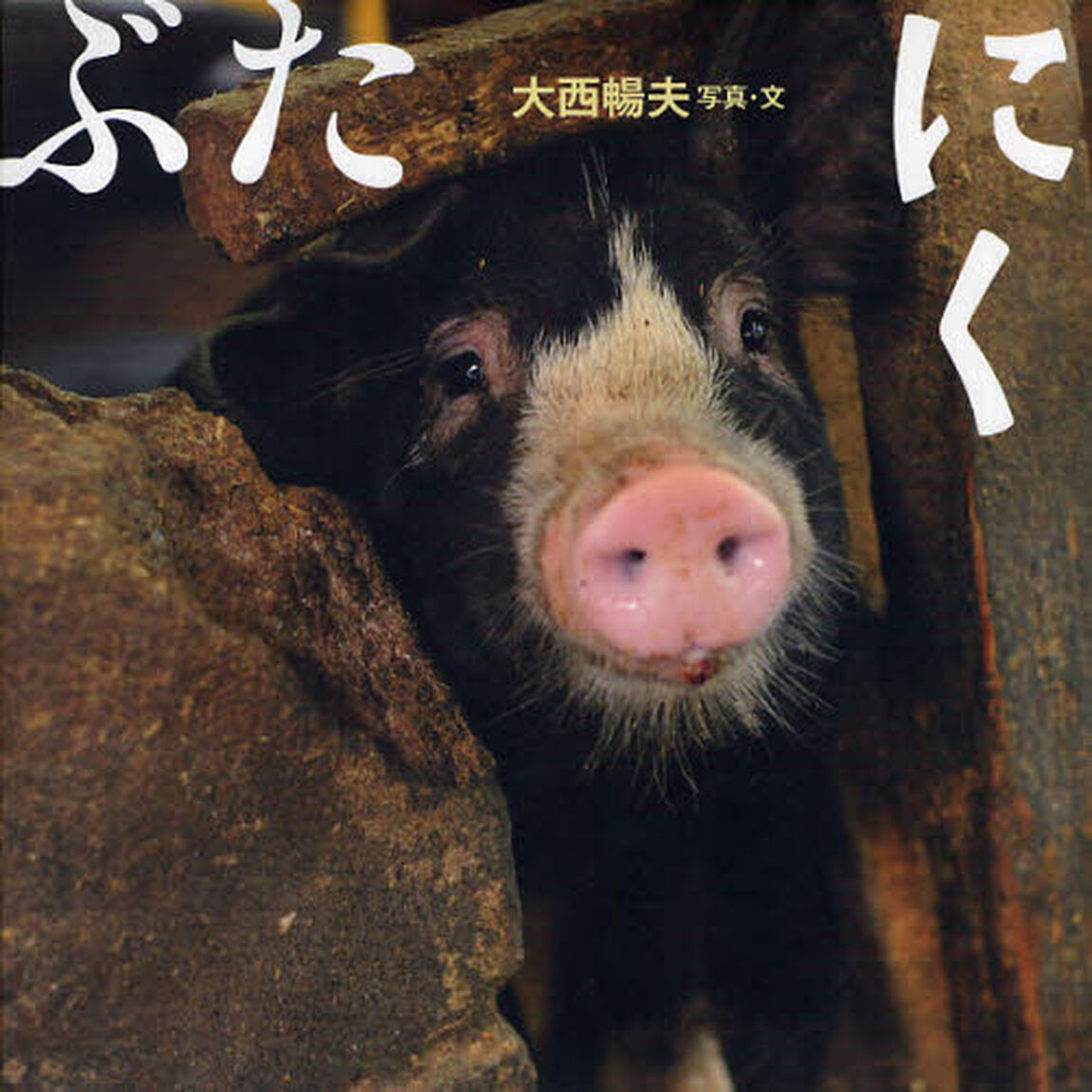 ぶた　にく