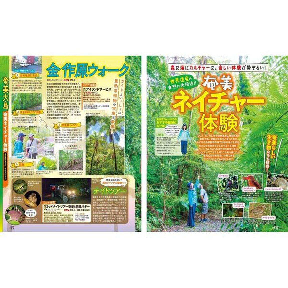 奄美・屋久島　種子島　&rsquo;２５