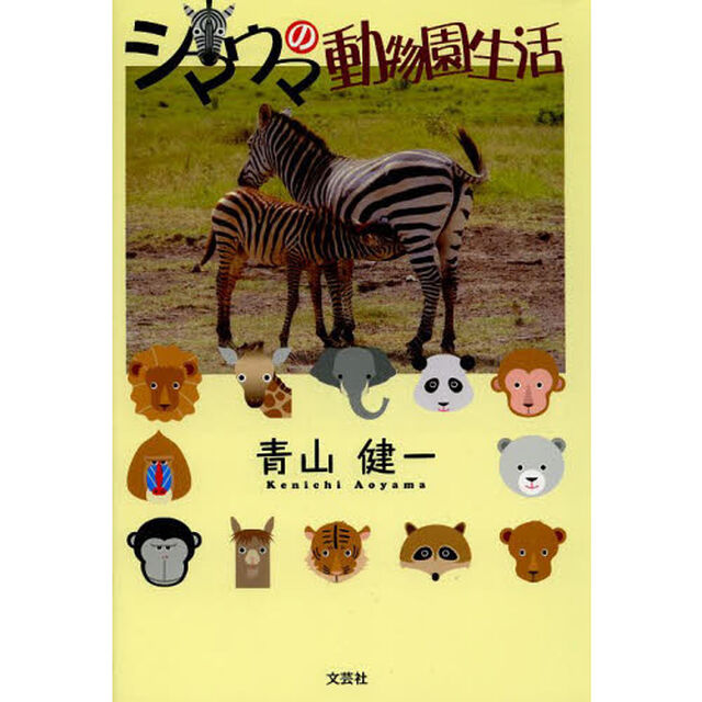 シマウマの動物園生活