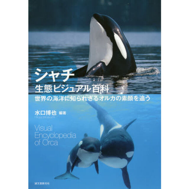 シャチ生態ビジュアル百科　世界の海洋に知られざるオルカの素顔を追う