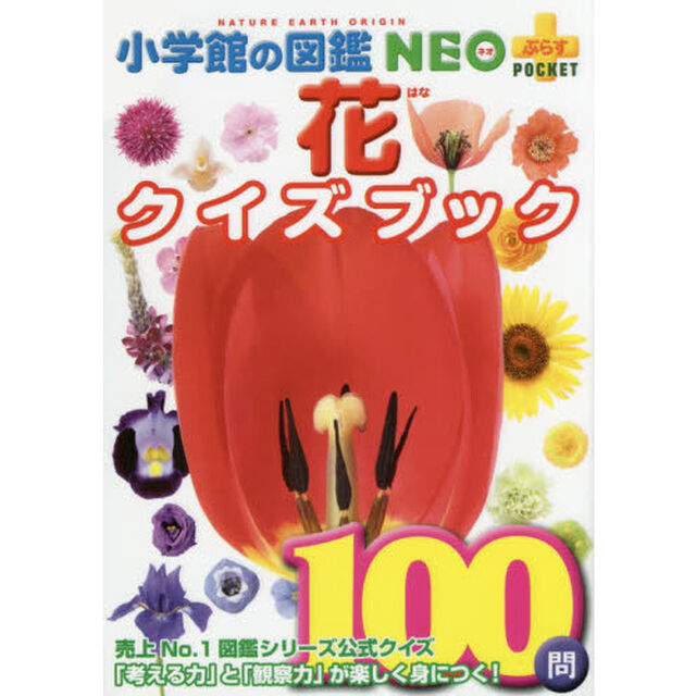 花クイズブック