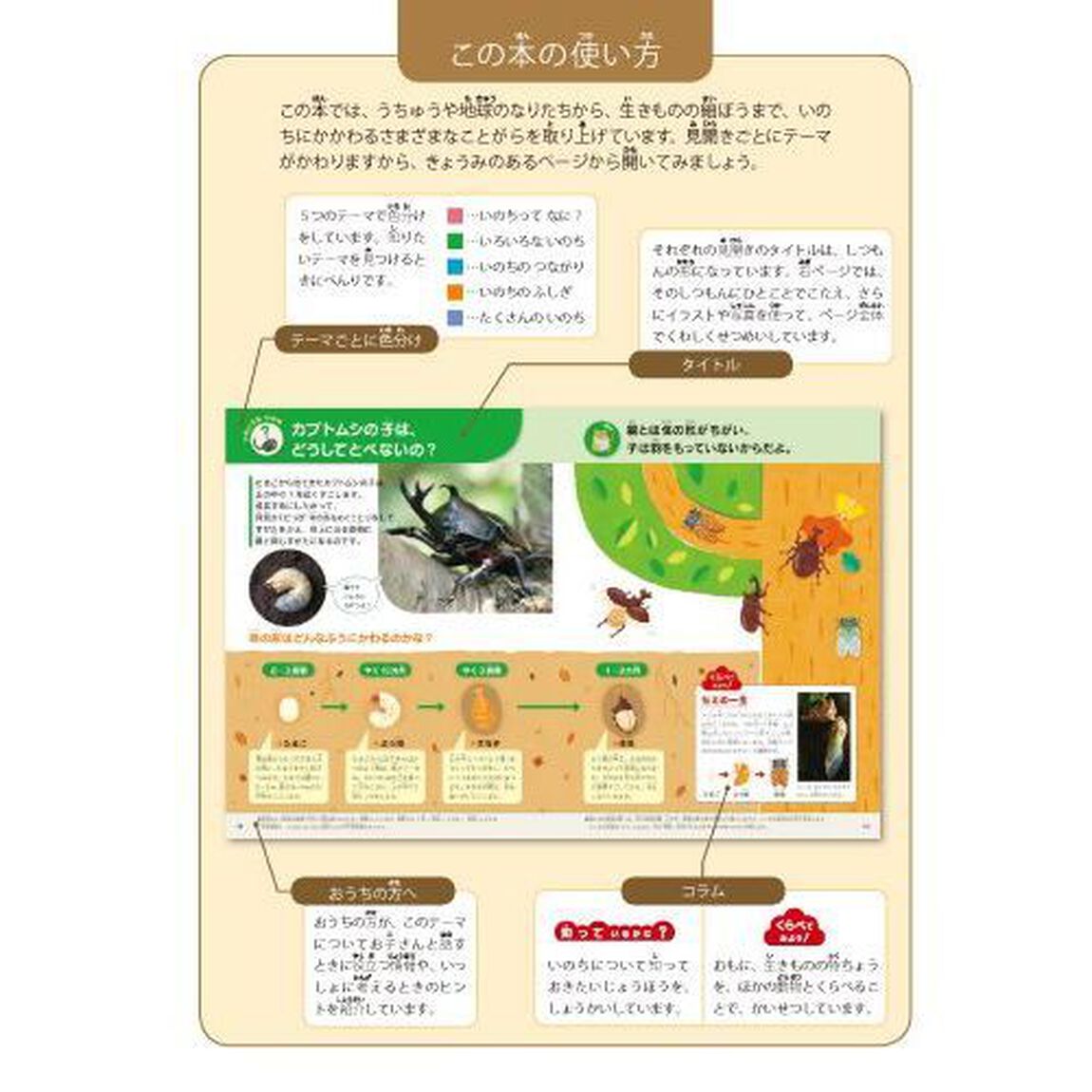 いのちの図鑑　ふしぎがいっぱい！　うちゅう　地球　人体　動物　植物