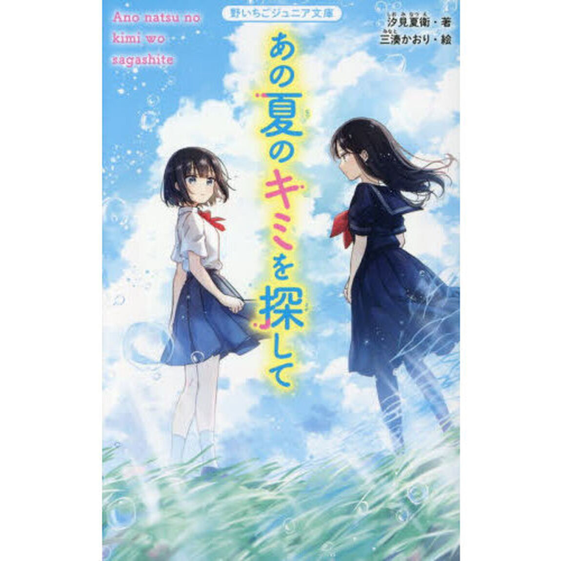 あの夏のキミを探して