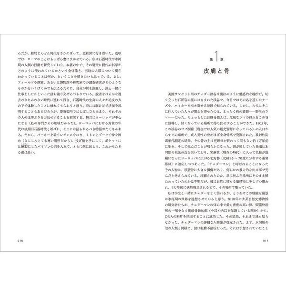 ホモ・サピエンス再発見　科学が書き換えた人類の進化