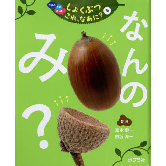 つぼみ　たね　はっぱ&hellip;しょくぶつこれ、なあに？　４「なんのみ？」