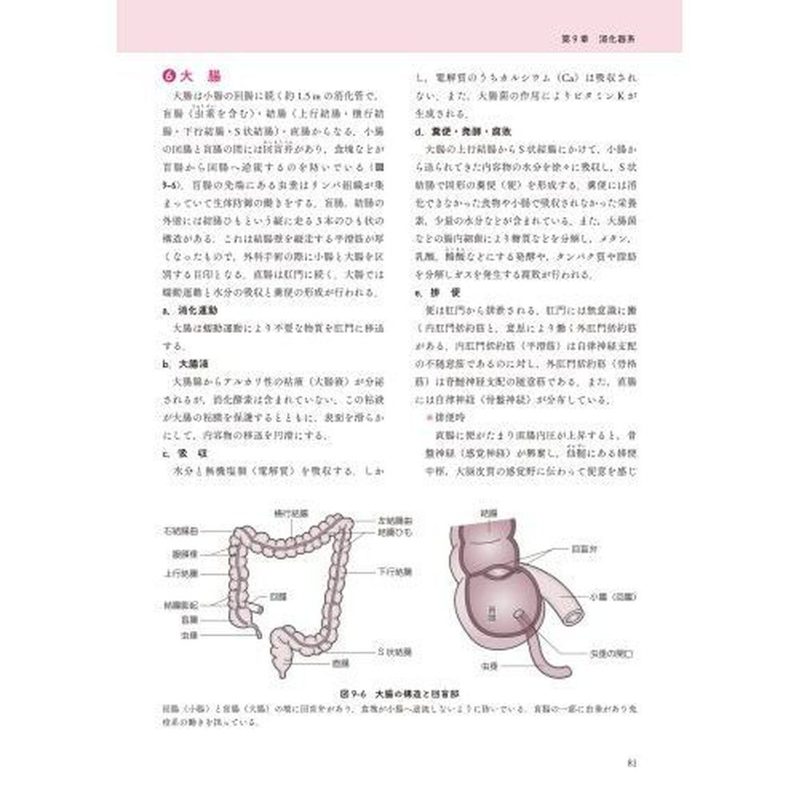 学生の声を聞いてつくった解剖生理学
