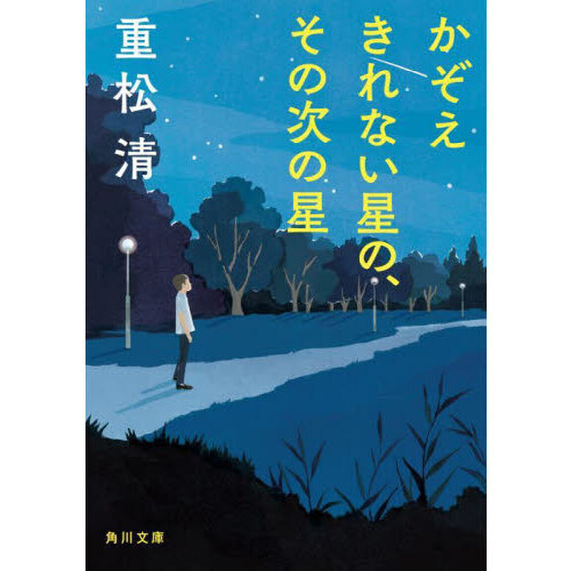 かぞえきれない星の、その次の星