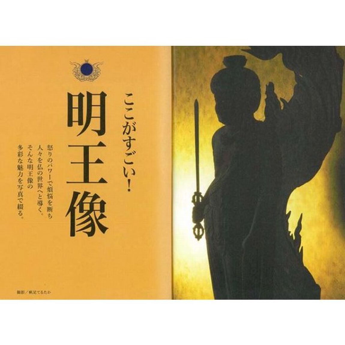 明王像のすべて　怒りのパワーで煩悩を断ち人々を救う
