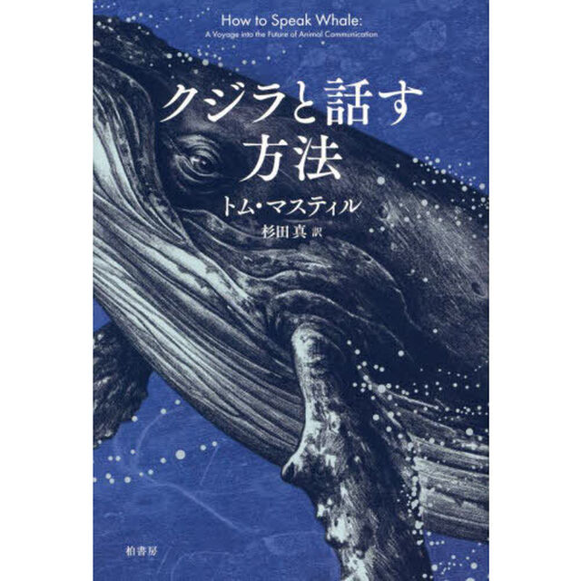 クジラと話す方法