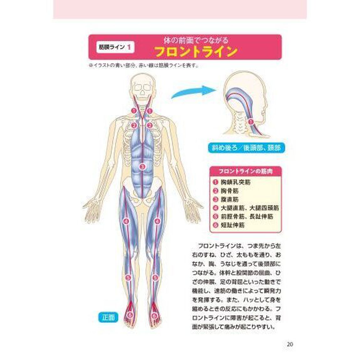 どんなに硬い体も柔らかくなる！名医が教えるすごいストレッチ　痛みこわばりこり可動域制限すべて解決
