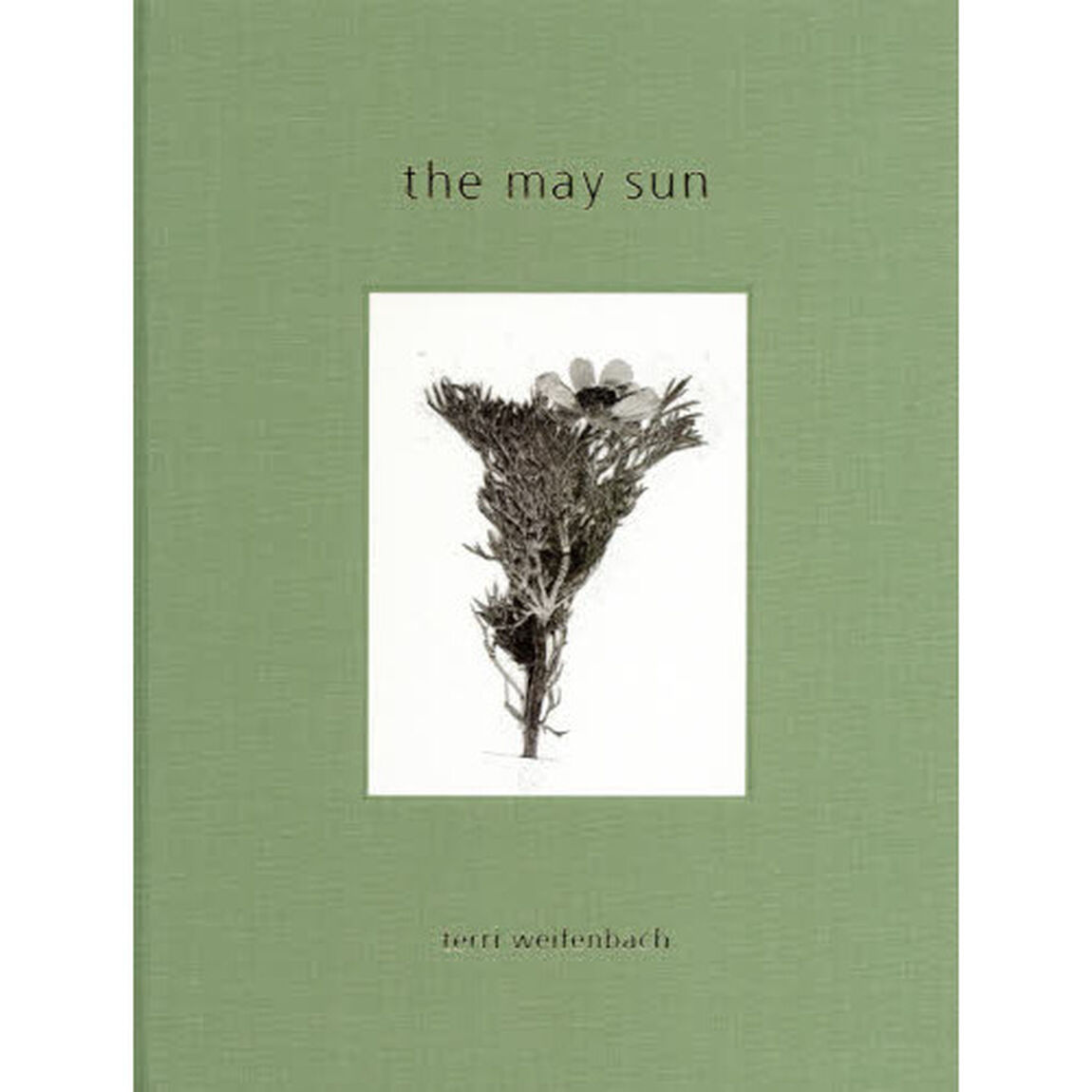 ｔｈｅ　ｍａｙ　ｓｕｎ