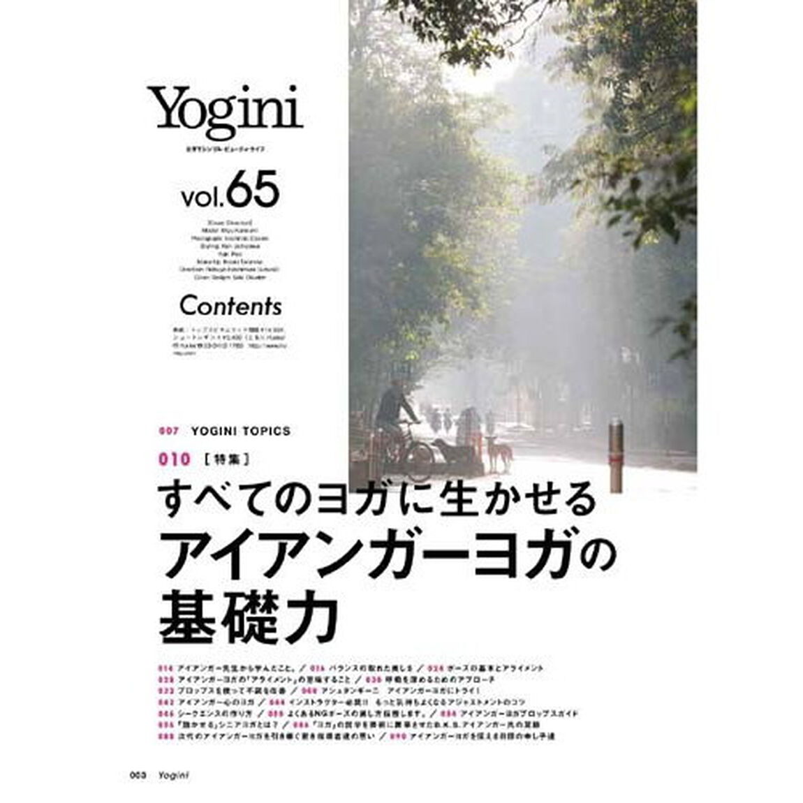 Ｙｏｇｉｎｉ　ヨガでシンプル・ビューティ・ライフ　ｖｏｌ．６５「特集あなたのヨガに生かせるアイアンガーヨガの基礎力」