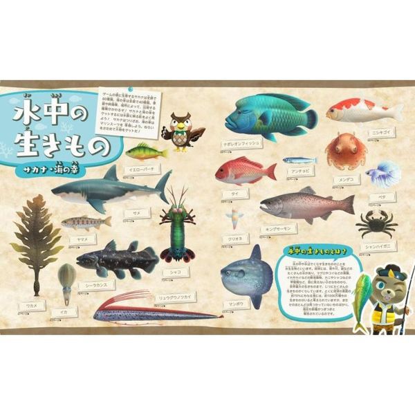あつまれどうぶつの森島の生きもの図鑑 - 通販｜セブンネットショッピング