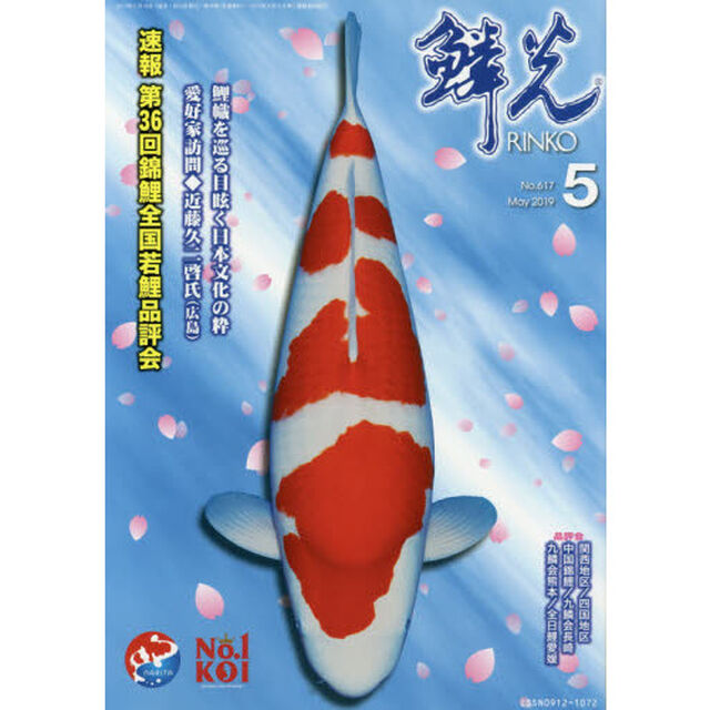 鱗光　２０１９－５「速報第３６回錦鯉全国若鯉品評会」
