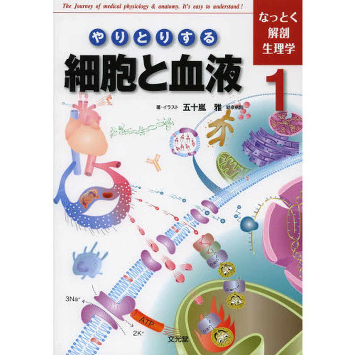 なっとく解剖生理学　１「やりとりする細胞と血液」