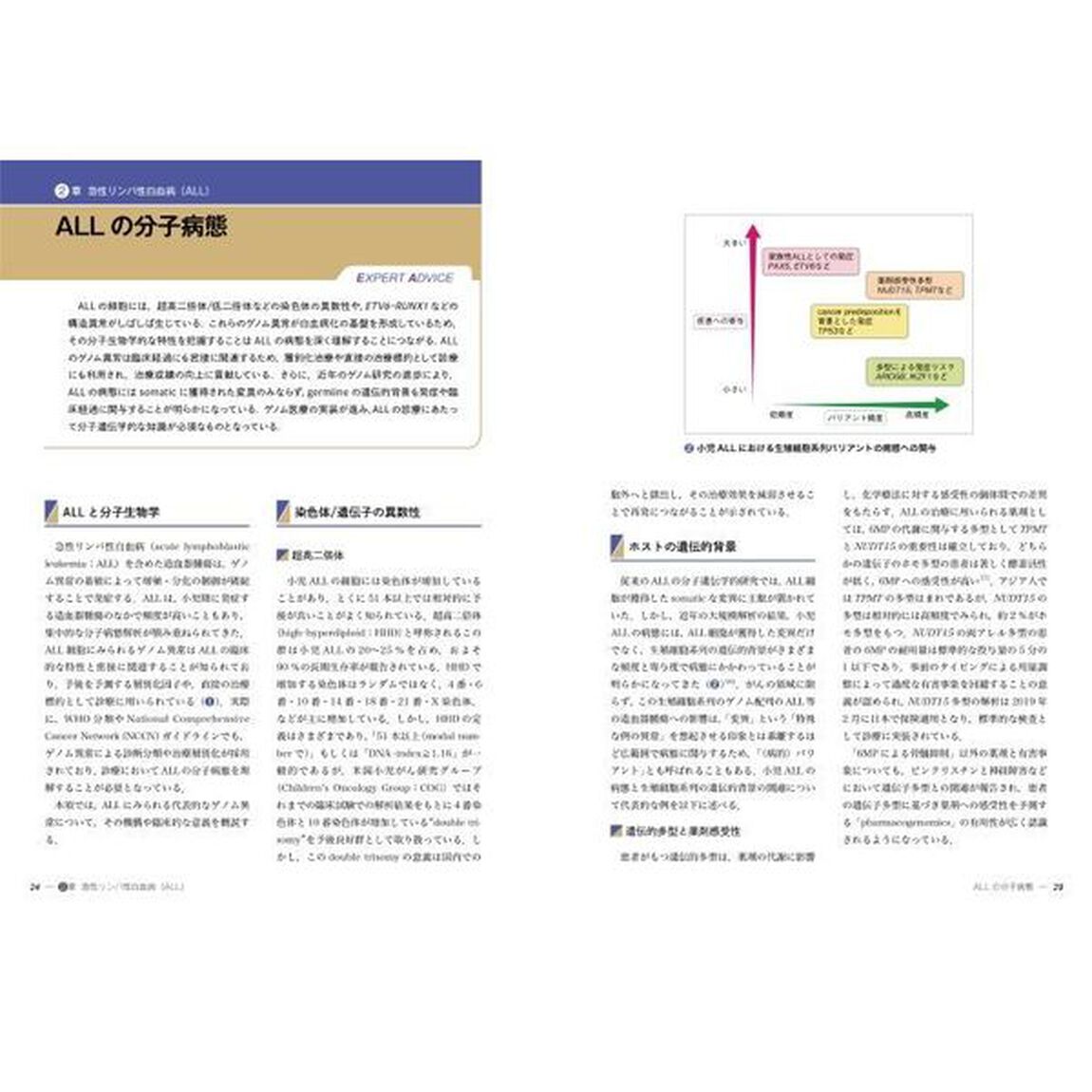 小児白血病・リンパ腫　Ｓｔｒａｔｅｇｙ　ａｎｄ　Ｐｒａｃｔｉｃｅ