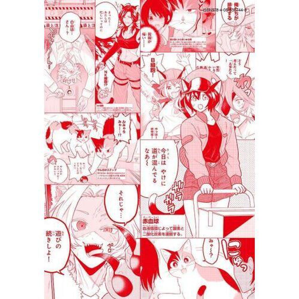 はたらく細胞猫　２