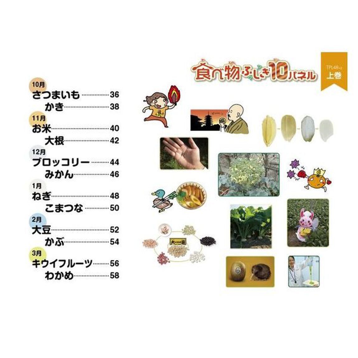 食べ物ふしぎ１０パネル　壁新聞ポスターとパワポスライドで子どもたちの興味・関心を育む　上巻