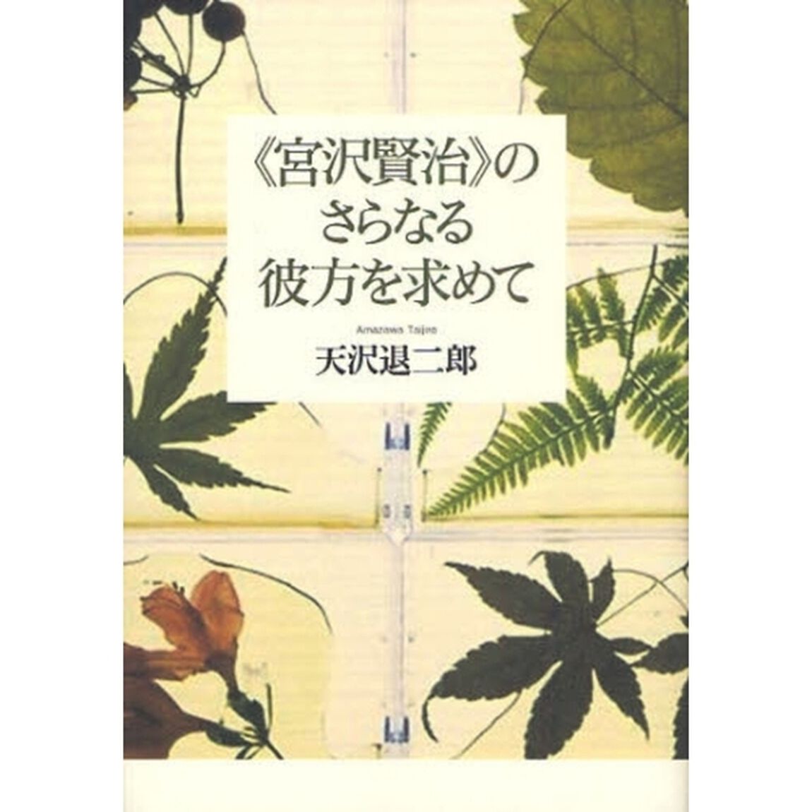 《宮沢賢治》のさらなる彼方を求めて