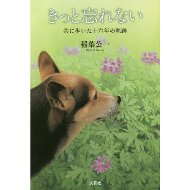 きっと忘れない　共に歩いた十六年の軌跡