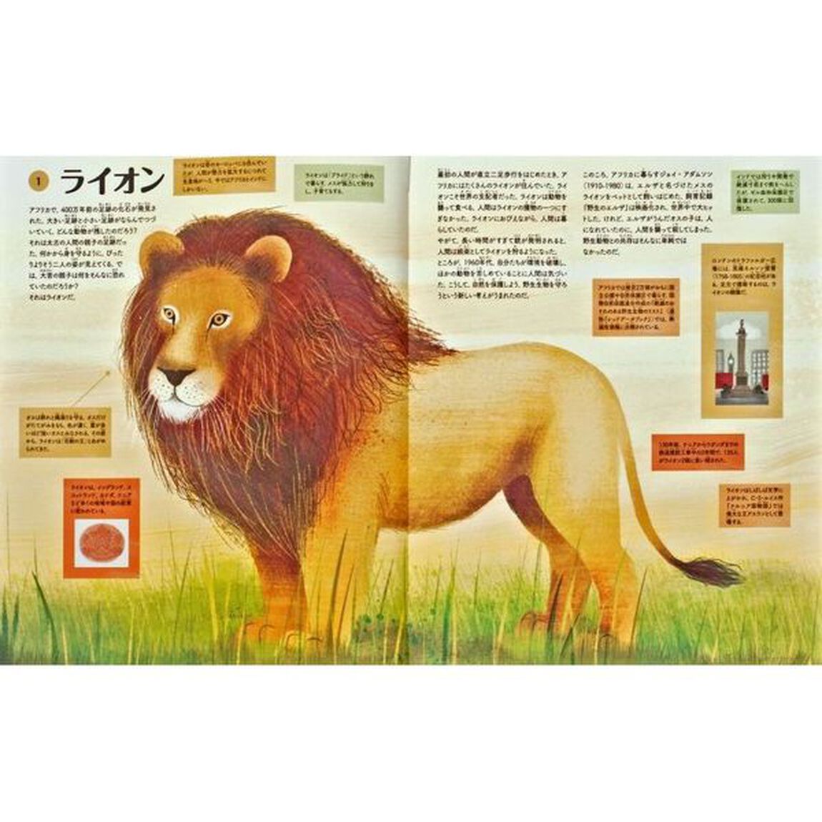 入門図鑑わたしたちと世界の生きもの１００
