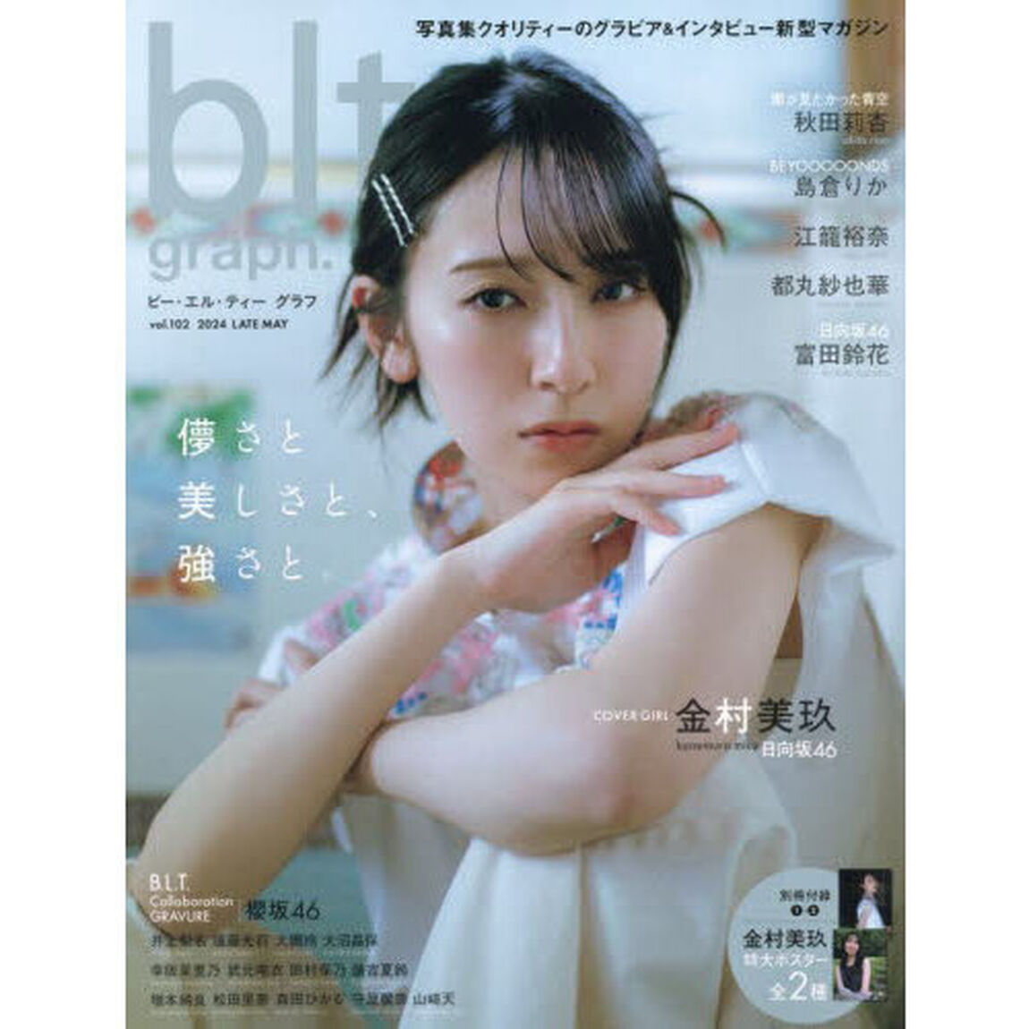 blt graph.vol.102