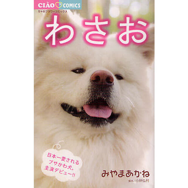 わさお
