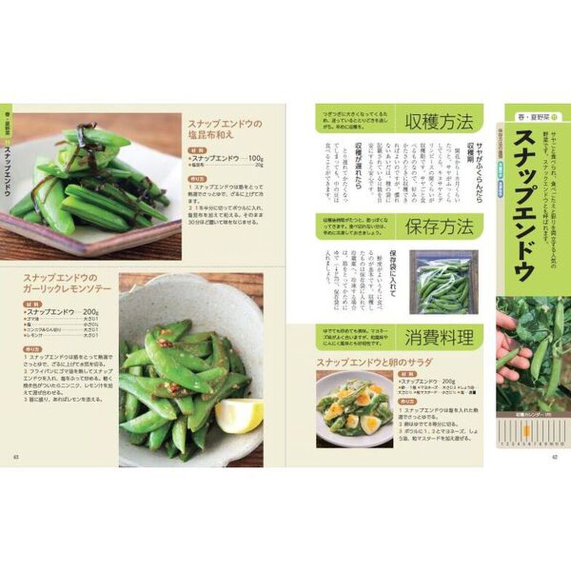 農家が教える野菜の収穫・保存・料理　大ボリューム！おいしいレシピ２９５「決定版」