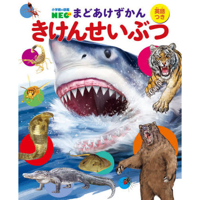 きけんせいぶつ　英語つき