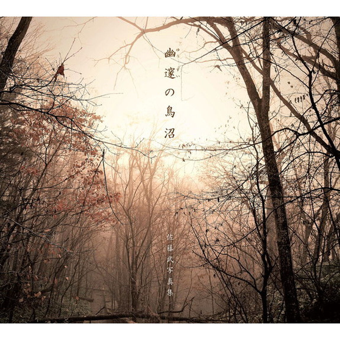 幽邃の鳥沼－佐藤武写真集－