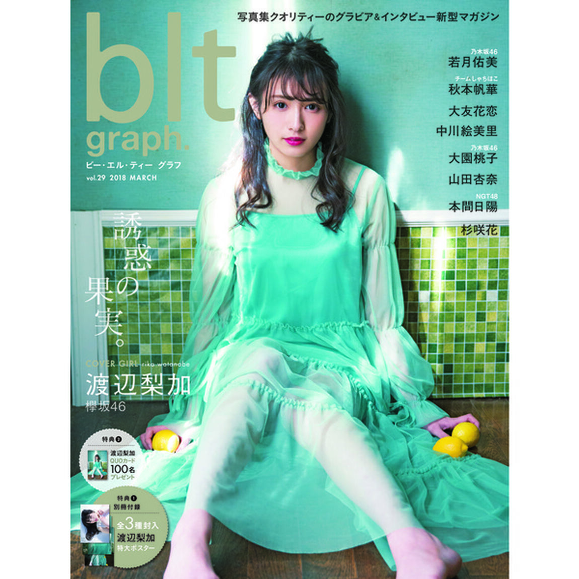 ｂｌｔ　ｇｒａｐｈ．ｖｏｌ．２９（セブンネット限定特典付き）