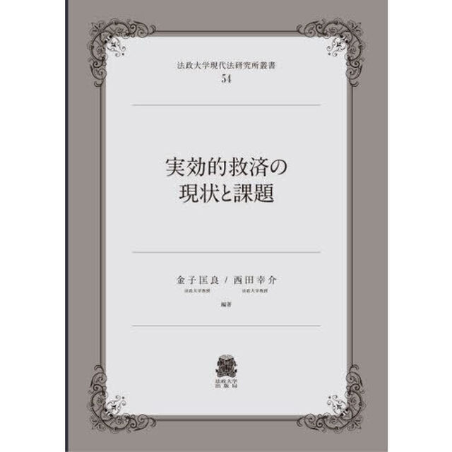 実効的救済の現状と課題