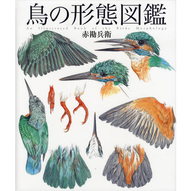 鳥の形態図鑑