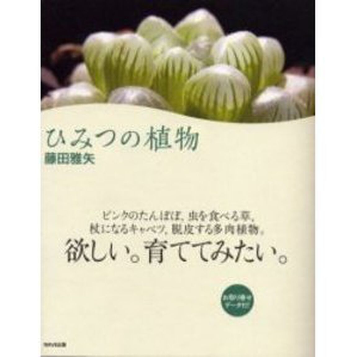 ひみつの植物