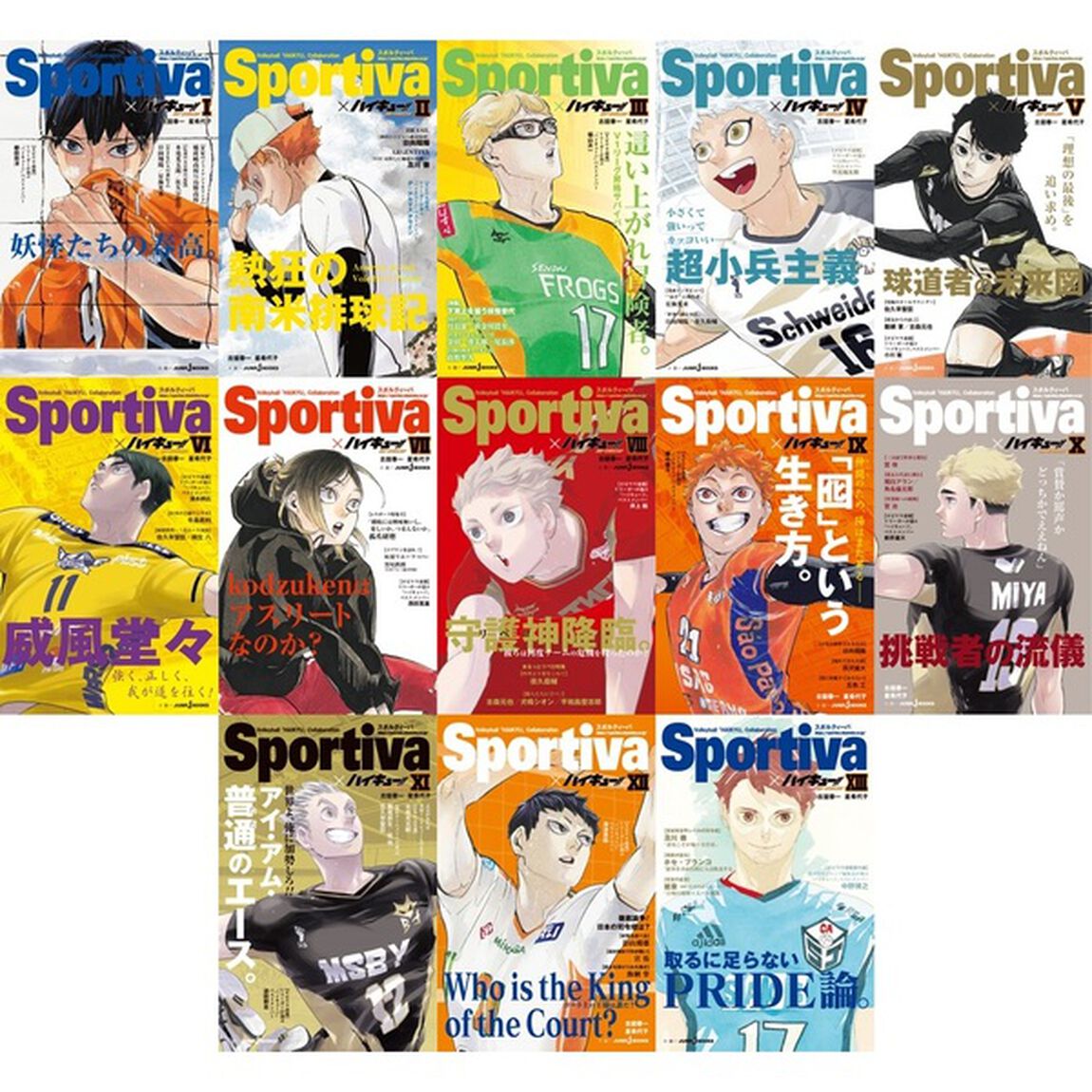 ハイキュー!! ショーセツバン!! Sportivaコラボオビ付き 1-13巻セット