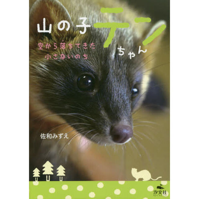 山の子テンちゃん　空から落ちてきた小さないのち