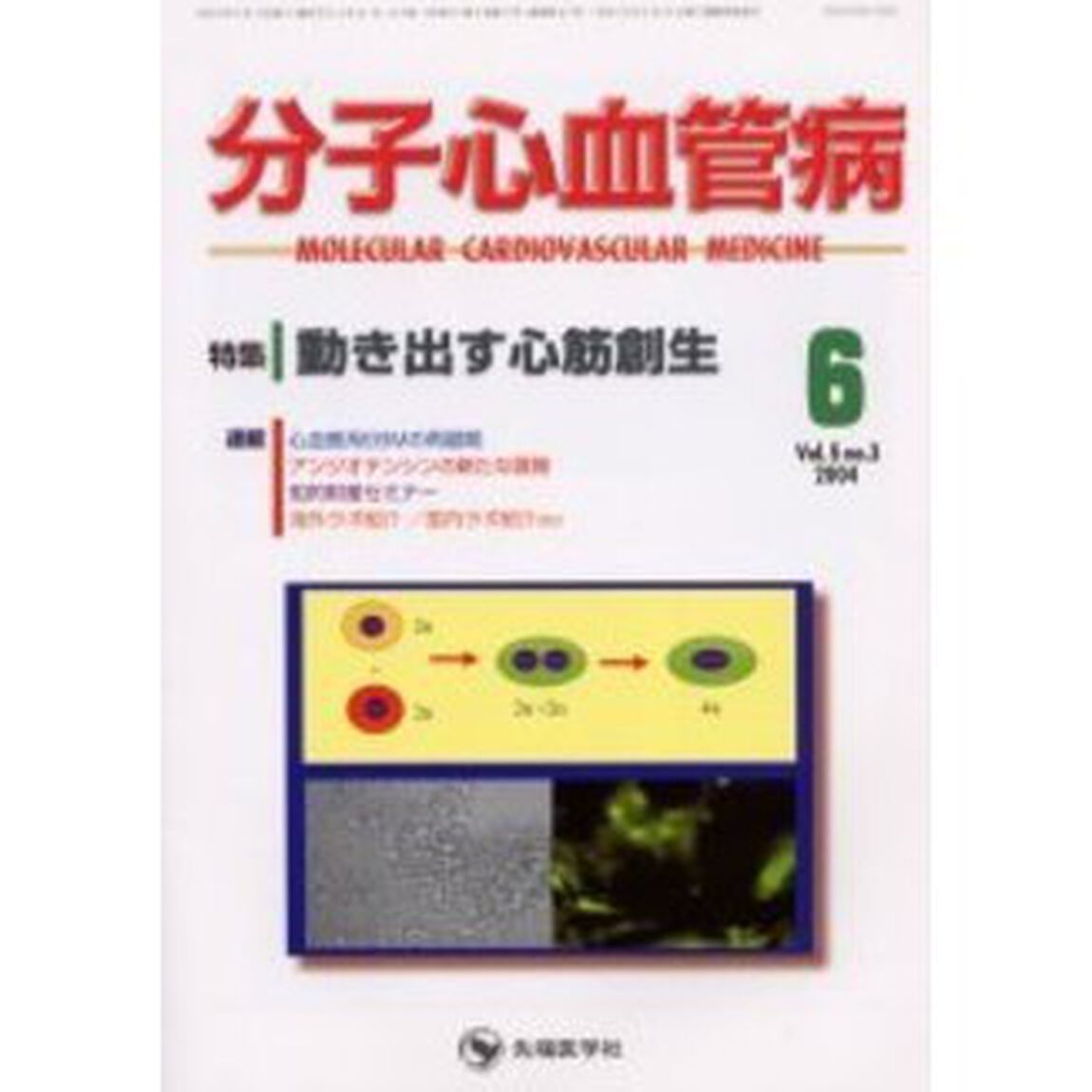 分子心血管病　Ｖｏｌ．５Ｎｏ．３（２００４）「特集・動き出す心筋創生」