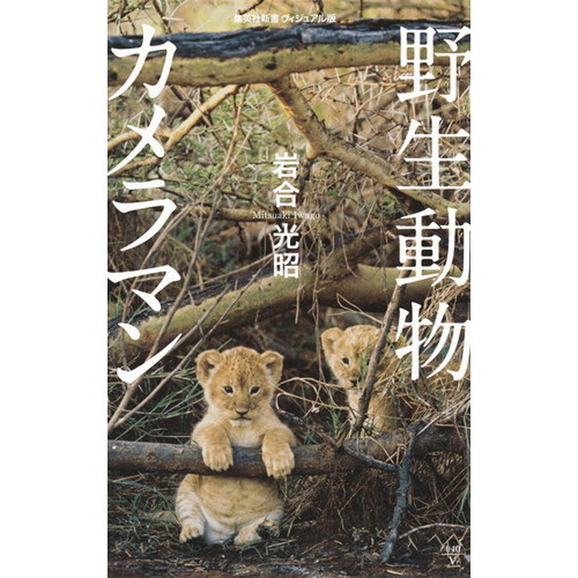 野生動物カメラマン