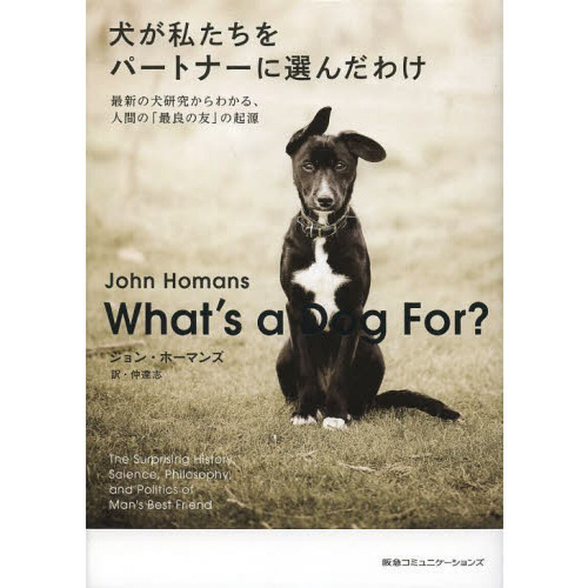 犬が私たちをパートナーに選んだわけ　最新の犬研究からわかる、人間の「最良の友」の起源
